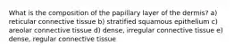 What is the composition of the papillary layer of the dermis? a) reticular connective tissue b) stratified squamous epithelium c) areolar connective tissue d) dense, irregular connective tissue e) dense, regular connective tissue