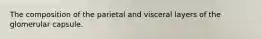The composition of the parietal and visceral layers of the glomerular capsule.
