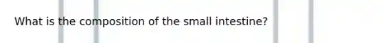 What is the composition of the small intestine?