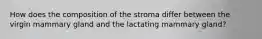 How does the composition of the stroma differ between the virgin mammary gland and the lactating mammary gland?