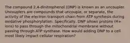 The compound 2,4-dinitrophenol (DNP) is known as an uncoupler. Uncouplers are compounds that uncouple, or separate, the activity of the electron transport chain from ATP synthesis during oxidative phosphorylation. Specifically, DNP allows protons (H+ ions) to pass through the mitochondrial membrane without passing through ATP synthase. How would adding DNP to a cell most likely impact cellular respiration?