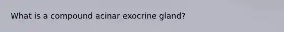 What is a compound acinar exocrine gland?