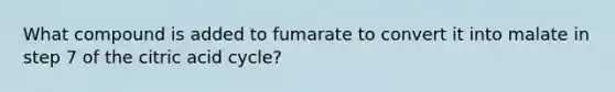 What compound is added to fumarate to convert it into malate in step 7 of the citric acid cycle?