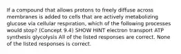 If a compound that allows protons to freely diffuse across membranes is added to cells that are actively metabolizing glucose via cellular respiration, which of the following processes would stop? (Concept 9.4) SHOW HINT electron transport ATP synthesis glycolysis All of the listed responses are correct. None of the listed responses is correct.