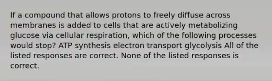 If a compound that allows protons to freely diffuse across membranes is added to cells that are actively metabolizing glucose via cellular respiration, which of the following processes would stop? ATP synthesis electron transport glycolysis All of the listed responses are correct. None of the listed responses is correct.