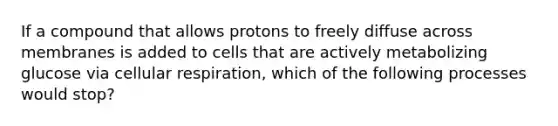 If a compound that allows protons to freely diffuse across membranes is added to cells that are actively metabolizing glucose via cellular respiration, which of the following processes would stop?