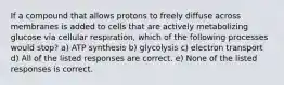 If a compound that allows protons to freely diffuse across membranes is added to cells that are actively metabolizing glucose via cellular respiration, which of the following processes would stop? a) ATP synthesis b) glycolysis c) electron transport d) All of the listed responses are correct. e) None of the listed responses is correct.