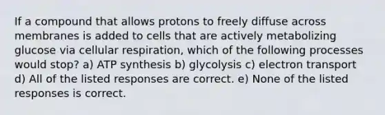 If a compound that allows protons to freely diffuse across membranes is added to cells that are actively metabolizing glucose via cellular respiration, which of the following processes would stop? a) <a href='https://www.questionai.com/knowledge/kx3XpCJrFz-atp-synthesis' class='anchor-knowledge'>atp synthesis</a> b) glycolysis c) electron transport d) All of the listed responses are correct. e) None of the listed responses is correct.