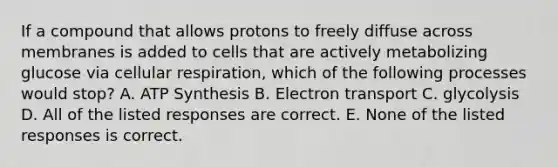 If a compound that allows protons to freely diffuse across membranes is added to cells that are actively metabolizing glucose via cellular respiration, which of the following processes would stop? A. ATP Synthesis B. Electron transport C. glycolysis D. All of the listed responses are correct. E. None of the listed responses is correct.