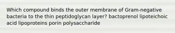 Which compound binds the outer membrane of Gram-negative bacteria to the thin peptidoglycan layer? bactoprenol lipoteichoic acid lipoproteins porin polysaccharide