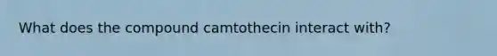 What does the compound camtothecin interact with?