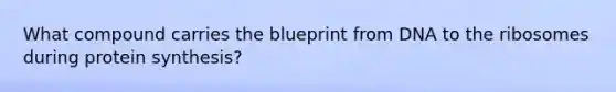 What compound carries the blueprint from DNA to the ribosomes during protein synthesis?