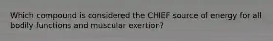 Which compound is considered the CHIEF source of energy for all bodily functions and muscular exertion?