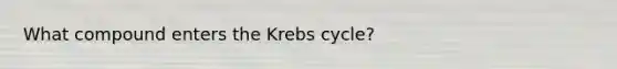 What compound enters the Krebs cycle?