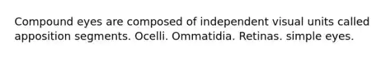 Compound eyes are composed of independent visual units called apposition segments. Ocelli. Ommatidia. Retinas. simple eyes.
