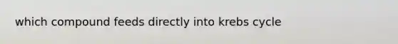 which compound feeds directly into krebs cycle