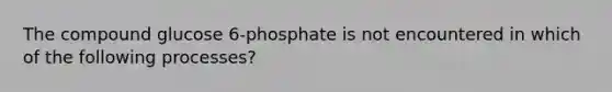 The compound glucose 6-phosphate is not encountered in which of the following processes?