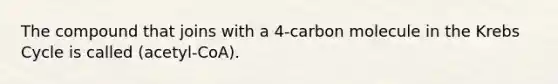 The compound that joins with a 4-carbon molecule in the Krebs Cycle is called (acetyl-CoA).