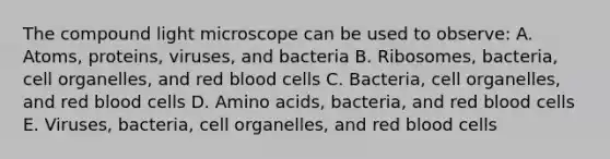 The compound light microscope can be used to observe: A. Atoms, proteins, viruses, and bacteria B. Ribosomes, bacteria, cell organelles, and red blood cells C. Bacteria, cell organelles, and red blood cells D. Amino acids, bacteria, and red blood cells E. Viruses, bacteria, cell organelles, and red blood cells