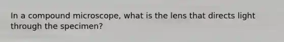 In a compound microscope, what is the lens that directs light through the specimen?