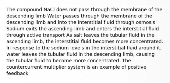 The compound NaCl does not pass through the membrane of the descending limb Water passes through the membrane of the descending limb and into the interstitial fluid through osmosis Sodium exits the ascending limb and enters the interstitial fluid through active transport As salt leaves the tubular fluid in the ascending limb, the interstitial fluid becomes more concentrated. In response to the sodium levels in the interstitial fluid around it, water leaves the tubular fluid in the descending limb, causing the tubular fluid to become more concentrated. The countercurrent multiplier system is an example of positive feedback