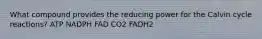 What compound provides the reducing power for the Calvin cycle reactions? ATP NADPH FAD CO2 FADH2