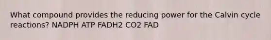 What compound provides the reducing power for the Calvin cycle reactions? NADPH ATP FADH2 CO2 FAD