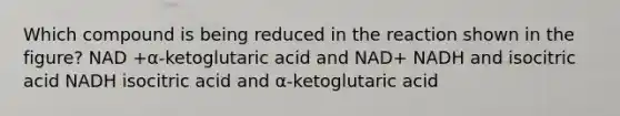 Which compound is being reduced in the reaction shown in the figure? NAD +α-ketoglutaric acid and NAD+ NADH and isocitric acid NADH isocitric acid and α-ketoglutaric acid