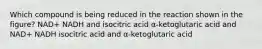 Which compound is being reduced in the reaction shown in the figure? NAD+ NADH and isocitric acid α-ketoglutaric acid and NAD+ NADH isocitric acid and α-ketoglutaric acid