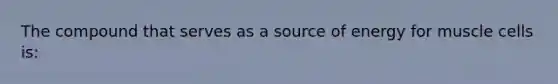 The compound that serves as a source of energy for muscle cells is: