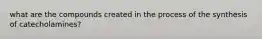what are the compounds created in the process of the synthesis of catecholamines?