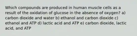 Which compounds are produced in human muscle cells as a result of the oxidation of glucose in the absence of oxygen? a) carbon dioxide and water b) ethanol and carbon dioxide c) ethanol and ATP d) lactic acid and ATP e) carbon dioxide, lactic acid, and ATP