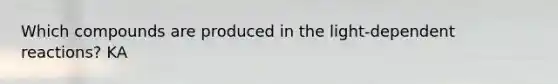 Which compounds are produced in the light-dependent reactions? KA
