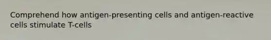 Comprehend how antigen-presenting cells and antigen-reactive cells stimulate T-cells