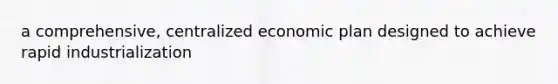 a comprehensive, centralized economic plan designed to achieve rapid industrialization