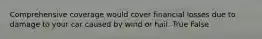 Comprehensive coverage would cover financial losses due to damage to your car caused by wind or hail. True False