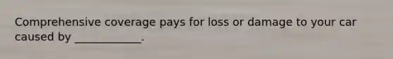 Comprehensive coverage pays for loss or damage to your car caused by ____________.