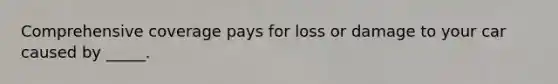 Comprehensive coverage pays for loss or damage to your car caused by _____.