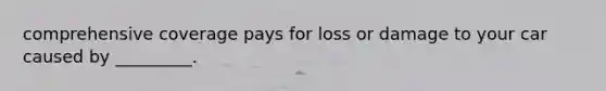 comprehensive coverage pays for loss or damage to your car caused by _________.