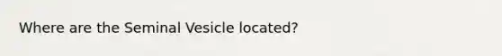 Where are the Seminal Vesicle located?