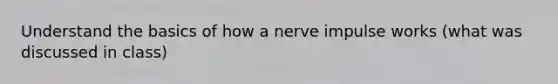 Understand the basics of how a nerve impulse works (what was discussed in class)