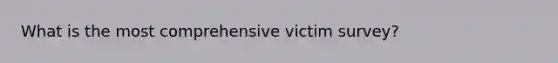 What is the most comprehensive victim survey?