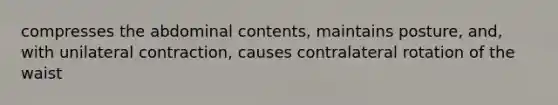 compresses the abdominal contents, maintains posture, and, with unilateral contraction, causes contralateral rotation of the waist