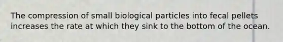 The compression of small biological particles into fecal pellets increases the rate at which they sink to the bottom of the ocean.