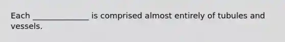 Each ______________ is comprised almost entirely of tubules and vessels.