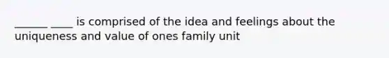 ______ ____ is comprised of the idea and feelings about the uniqueness and value of ones family unit