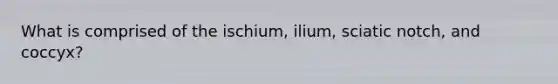 What is comprised of the ischium, ilium, sciatic notch, and coccyx?