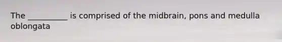 The __________ is comprised of the midbrain, pons and medulla oblongata