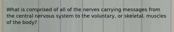 What is comprised of all of the nerves carrying messages from the central nervous system to the voluntary, or skeletal, muscles of the body?