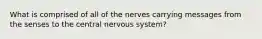 What is comprised of all of the nerves carrying messages from the senses to the central nervous system?